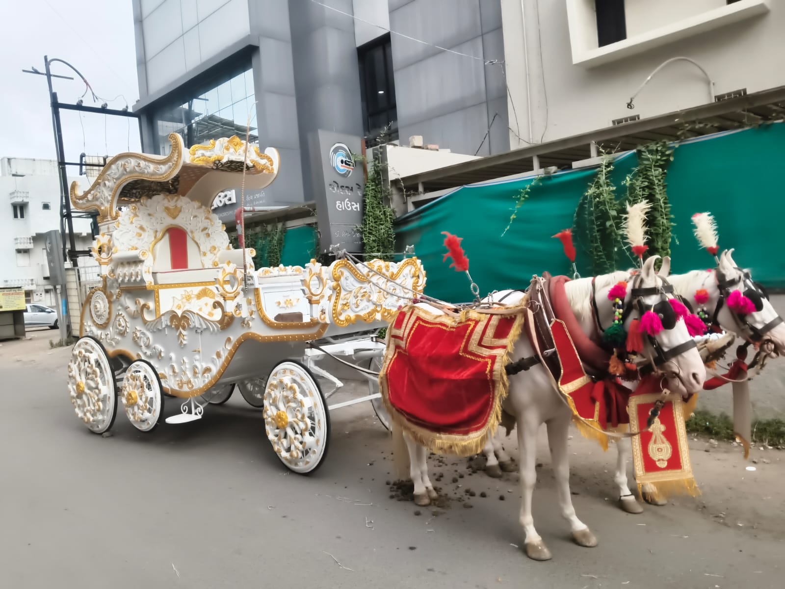 Bahubali Bagi - horse bagi wedding carriage hire Anand Gujarat